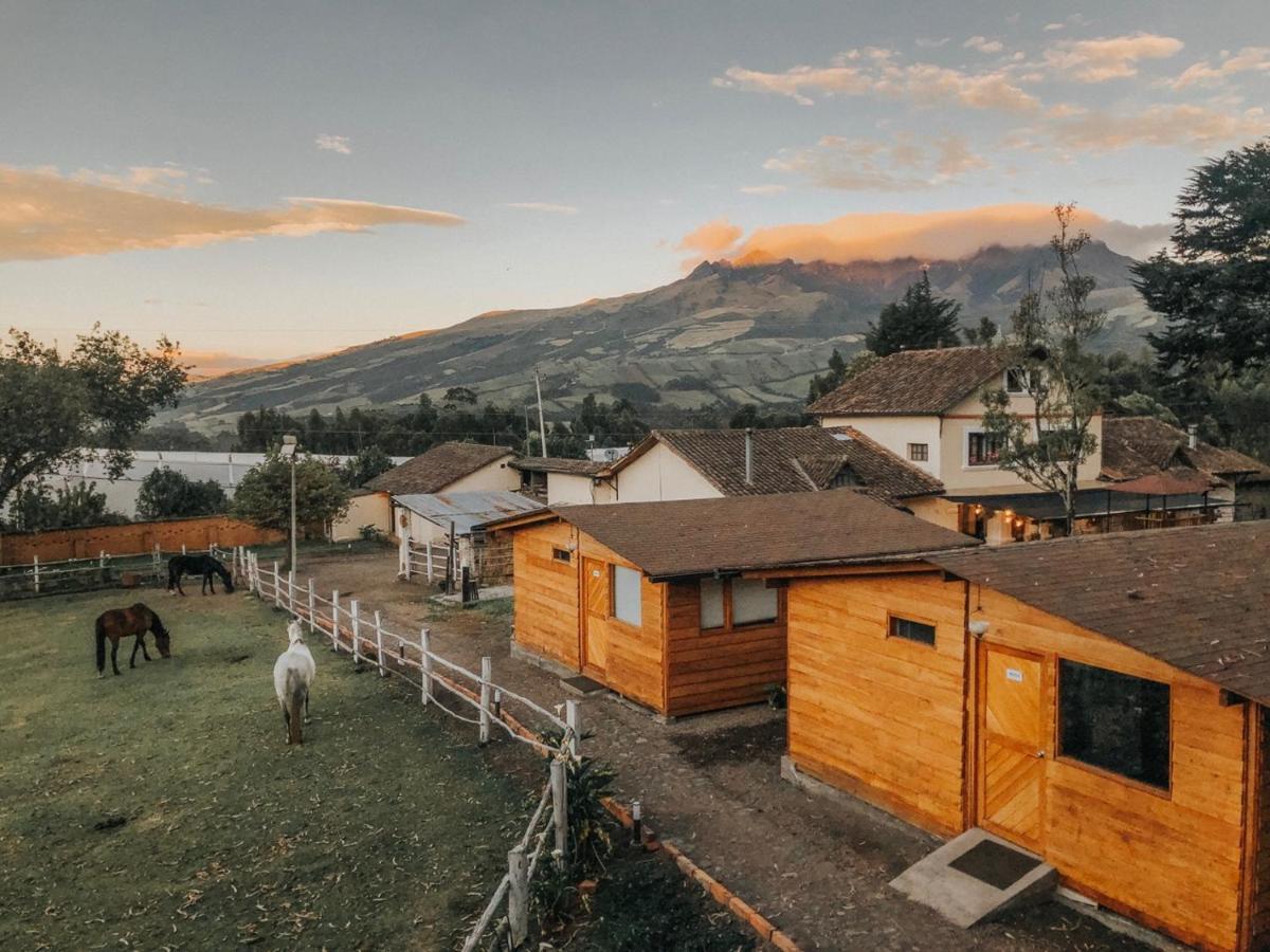Hosteria Papagayo Cotopaxi Machachi Eksteriør billede